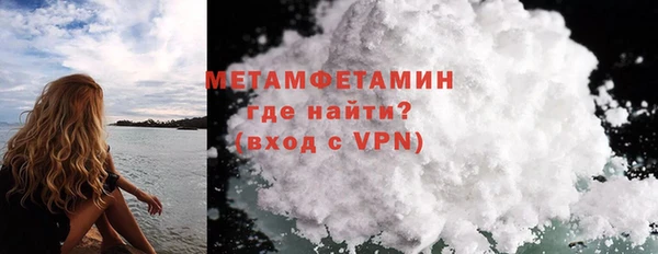 индика Бородино