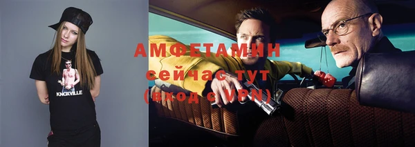 сатива Богородицк