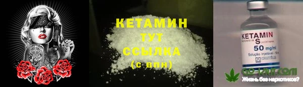 индика Бородино