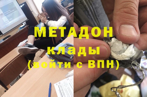 индика Бородино