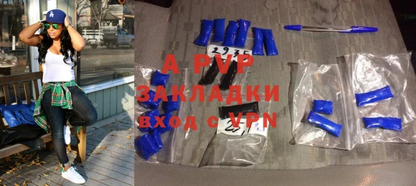 индика Бородино