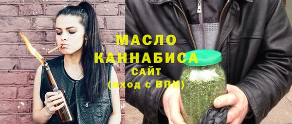 индика Бородино