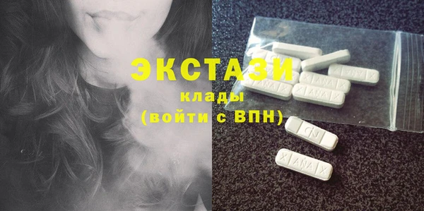 индика Бородино