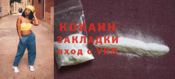 PSILOCYBIN Богданович