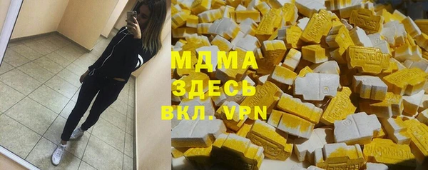 индика Бородино