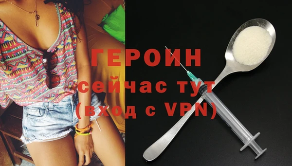 индика Бородино
