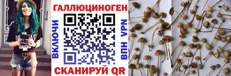 Галлюциногенные грибы ЛСД  Купить где  Белёв 